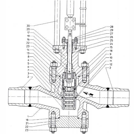 Boiler Feed Water Valve for Thermal Power Plant